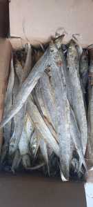 COD ikan asin layur panjang 1kg
