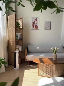 New Chinese style r solid wood sofa Nordic ash wood three-seat simple rattan living room sofa