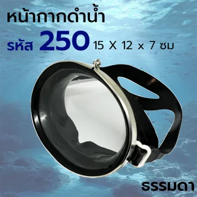 หน้ากากดำน้ำ หน้ากากดำปลา หน้ากากดำน้ำตื้น แว่นดำน้ำ no.250/390