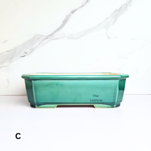 The Leaferie Bonsai Tally Pot (Series 9) . Plant pot . Ceramic . Flowerpot . Flower pot . Planter