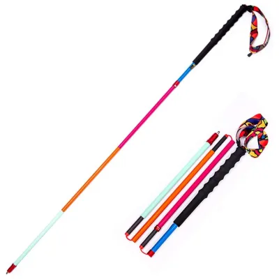 Tongkat Hiking Telescopic 4 Section Foldable - Z1802 CHEN JING Trekking Pole