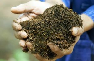 1kg Trấu hoai mục dùng trộn làm giá thể trồng cây - Trấu Hoai Mục Khô