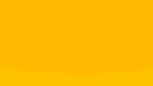 BUILDMATE Lotus 300A/350A Arc Inverter Welding Machine LT300DXT With 2 Freebies/ LT300ESX/ MMA350