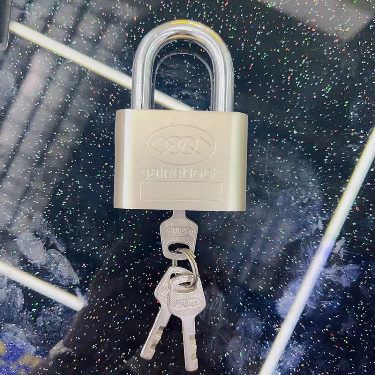 Ổ KHOÁ THƯỜNG GAINER 50MM 3 CHÌA 8 Ổ Khóa Cửa 40/50mm Gainer Lock Kèm 3 Chìa Khóa Bằng Thép Cứng, Ổ Khóa Chống Cắt Chịu Lực Chắc Chắn Chống Va Đập An Toàn | Lazada.vn