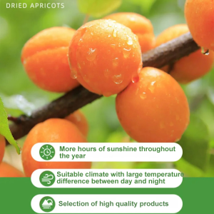 [Sweet and Soft]No additives Seed-free Dried Red Apricots/0 Sugar Dried Fruit Candied Fruit Snacks/0 Artificial Pigment Handmade Pastries/Freeze-dried Pitted Red Apricots