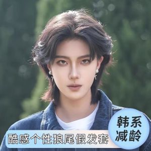 Chihiro mens wig fashion broken cover Korean version handsome fluffy natural boys wolf tail differential short hair full hood