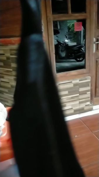 Buyer review video 5