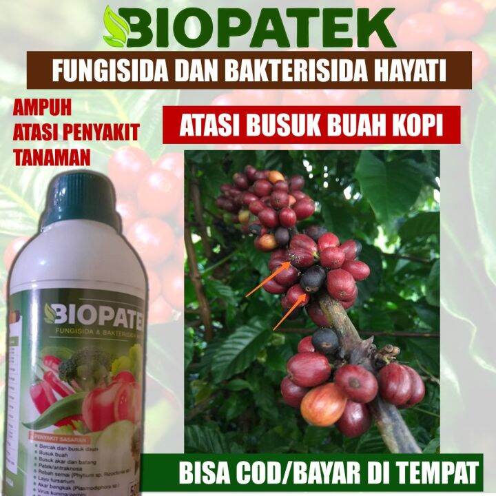 Promo Biopatek Ml Fungisida Bakterisida Fungisida Kopi Alami Pupuk