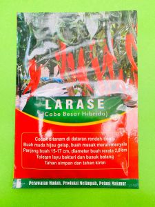 Benih Cabe Besar LARASE isi 1500biji produk dari Cap Sebelas F