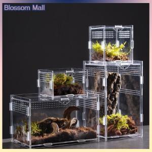 [Blossom] Acrylic Transparent Reptile Breeding Box Terrarium Habitat Insect Spider Lizard Scorpion Feeding Cage Arboreal Enclosure Case
