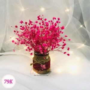 [Hỏa tốc 2h HCM] - Chậu hoa baby khô để bàn trang trí đẹp lọ thủy tinh nhiều màu Hoa thật quà tặng sinh nhật người yêu quà tặng 8/3 túi hoa baby khô có đèn tặng bạn gái Túi quà tặng mẹ Quà tặng Valentine quà sinh nhật cho nữ