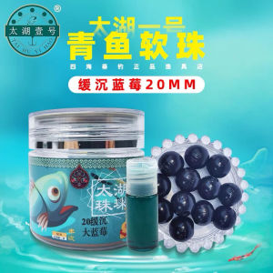 Hạt Đan Silicon 20mm Taihuyihao Logo Con Cá Chuyên Câu Chép Trắm Đen Mồi Câu Trắm Đen Cực Nhạy