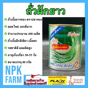 ปลาทอง ถั่วฝักยาว ถั่วเนื้อธารทอง ขนาด 80 กรัม หมดอายุ 03/2569 ถั่วเนื้อ งอกดี ปลูกง่าย ฝักสีเขียว ผลผลิตสูง น้ำหนักดี อายุเก็บเกี่ยว 50 วัน