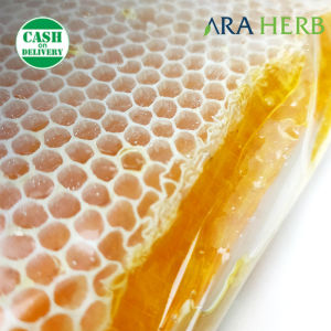 Madu Sarang Asli Honeycomb Malifera 250gr / Madu Melifera Premium Asli