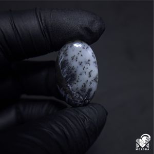 Natural Dendritic Agate Chalcedony Colector Item ( Rare Item )