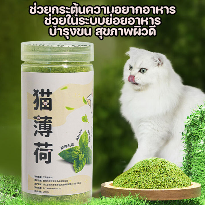 BHQ PET Catnip ผงกัญชาแมวบดละเอียด 250ml บำรุงสุขภาพ