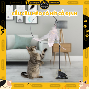 Cần Câu Mèo Có Đế Hít Cố Định