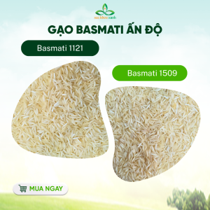 Gạo Basmati Ấn Độ Túi 5kg Sức Khỏe Xanh – Hạt Dài Cao Cấp – Cơm Tơi Xốp Dinh Dưỡng Cho Cả Gia Đình