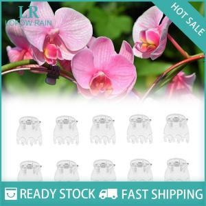 LF Wholesale✨Flash Sale ✨ 50Pcs Transparent 6 Claws Orchid Clips Plastic Butterfly Flowers Support Clear Fixer For Garden Vine Stem Plants Climbing
