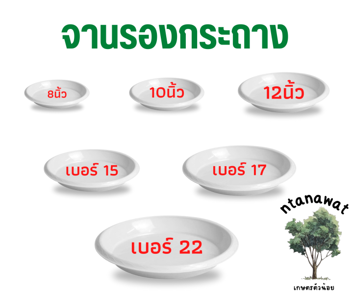 จานรองกระถางพลาสติกสีขาว ขนาด 8-17 นิ้ว