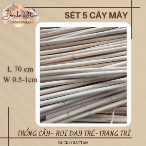 Combo 5 que mây dẻo- mây cây- trang trí trồng cây dụng cụ hỗ trỡ múa tập võ