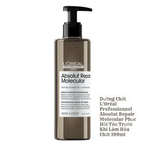 GộiDưỡng Chất Xả LOréal Absolut Repair Molecular Giúp Phục Hồi Và Tái Tạo Tóc Cấp Phân Tử