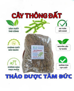 1kg cây thông đất sấy khô hữu cơ