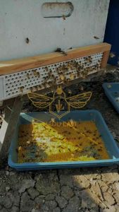 Bee Pollen Madu Lavi 100gram Real Serbuk Sari dari lebah
