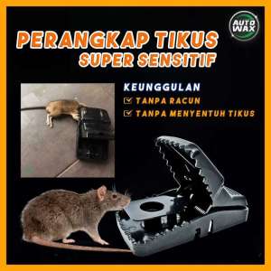 Jepitan Tikus Model Buaya: Cara Efektif Mengatasi Ranjau Tikus