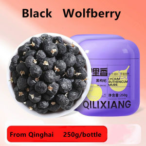 Black Goji Berry 250g Black Wolfberry Premium Quality Qinghai Black Goji Berry Big Fruit Dried Goji