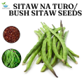 SULIT PACK! SITAW NA TURO/BUSH SITAW/LOS BANOS VARIETY (10 pcs seeds). 