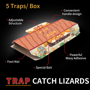 Silverfish Catcher 1-Pack for Home - Targets Damp Areas Prevents Chewed Books & Clothes Odorless