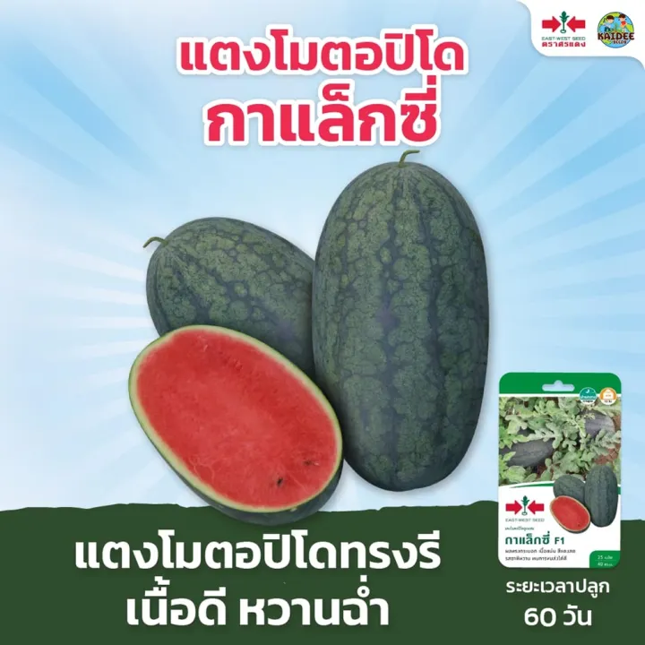 เมล็ดพันธุ์แตงโม กาแล็กซี่ ตอปิโด เนื้อแดง ตราศรแดง