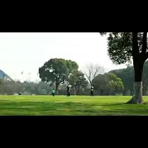 VISHINE Lunch Food Storage Multi-layer Picnic Microwave Safe Stackable Bento wHandle