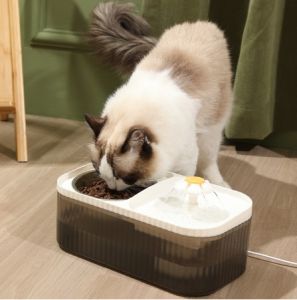 Máy Lọc Nước Kèm Chén Ăn Bát Ăn hình Bông Hoa cho Chó Mèo