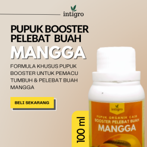 Pupuk Buah Mangga / Pupuk Pelebat Buah Mangga / Pupuk Booster Mangga Berbuah Lebat / Penyubur Buah