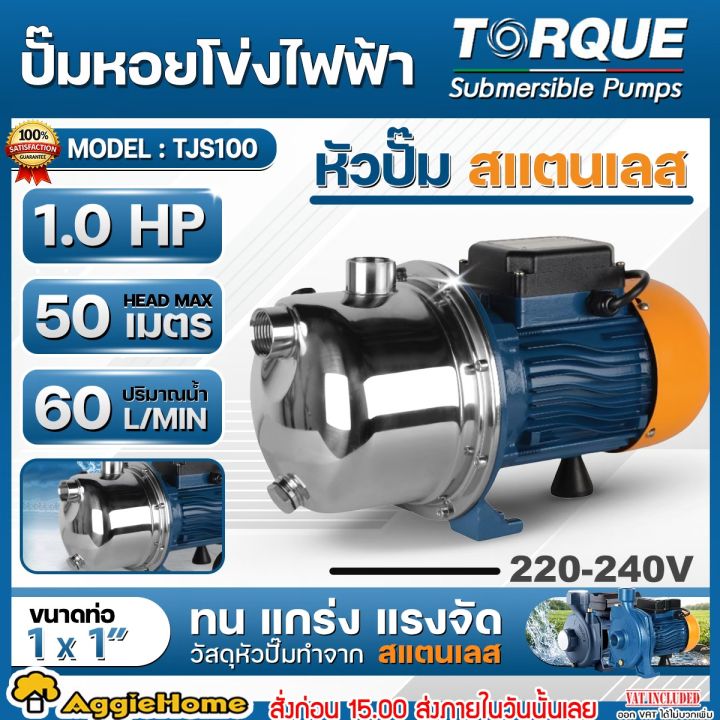 TORQUE ปั๊มน้ำ 1 แรงม้า TJS100 หัวสแตนเลส ท่อ 1 นิ้ว สำหรับน้ำสะอาด
