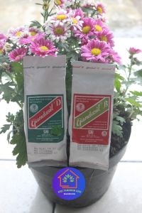 COD Gandasil D / B 100 gram Pupuk Perangsang penyubur daun bunga dan buah sayuran semprot
