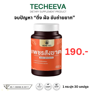 เพชรสังฆาต HERB TEC สีดวง ติ่ง ฝ่อ ท้องผูก เพชร สังคาด ขับถ่ายยาก ริดสี ริด 1 ขวด65-1-06066-5-0011