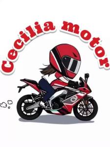 MOTORCYCLE PARTS THROTTLE HOUSING FOR UNIVERSAL XRM GY6-125 MIO