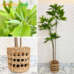 Pohon Artificial Daun Manggis Variasi Tinggi 150 & 170 Cover Eceng Gondok Motif Hiasan Sudut Rumah
