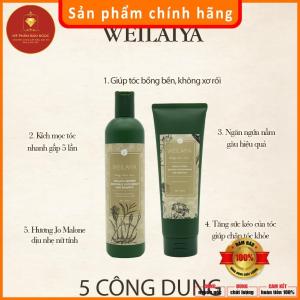Dầu Gội Xả Gừng WEILAIYA GINGER chống rụng kích mọc tóc 400ml + 250ml tặng set mini 20ml CHÍNH HÃNG