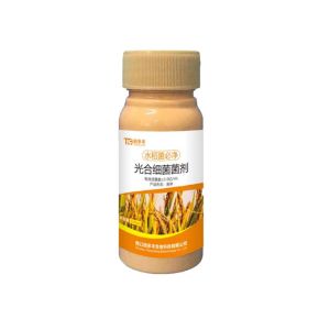 💗🙋‍♀️💗水稻杀菌剂病全治稻瘟稻曲病纹枯病恶苗病白叶枯病水稻专用