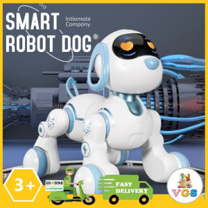 Mainan Anak Remote Control Smart Mechanical Dog