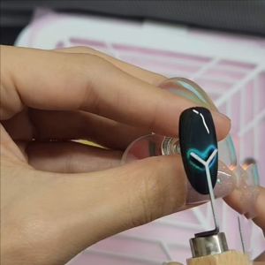 3 Trong 1 Đa Chức Năng Móng Tay Nghệ Thuật Nam Châm Móng Tay Mèo Từ Dính Cho UV Gel Ba Lan Ánh Tuyết Hiệu Ứng Lấp Lánh Làm Móng Tay Dụng Cụ Làm Móng Tay