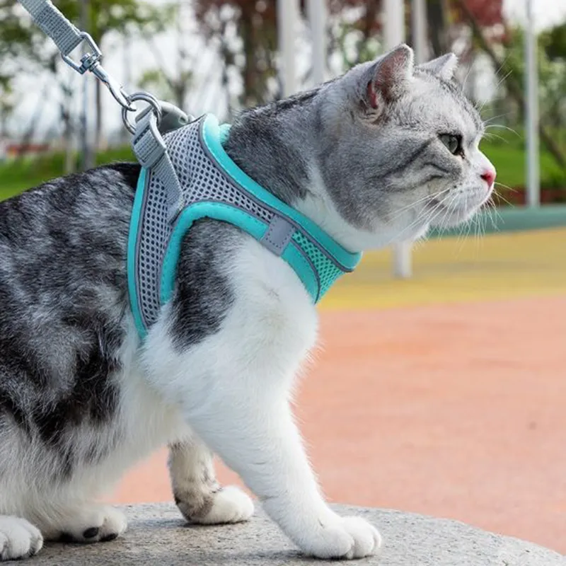 XXS-L Breathable Escape Proof Cat Harness and Leash One Set