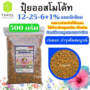 ปุ๋ยออสโมโค้ท 12-25-6+1% ปุ๋ยละลายช้า ปลดปล่อยธาตุอาหารนาน 6 เดือน เร่งดอก บำรุงต้นสมบูรณ์แข็งแรง