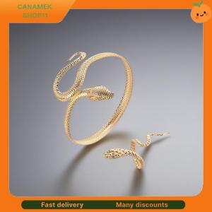 ❣️❣️❣️ 2Pcs Punk Snake Shaped Bracelets Ring Jewelry Set Spiral Snake Opening Bracelets Finger Rings Female Male Hand Jewelry