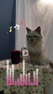 AI smart Audio Subwoofer  Wireless Speaker Bluetooth Speaker Good Bass Portable Subwoofer Karaoke  Car FM Radio Music Player Charge kotak speaker keras