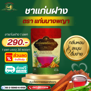 ชาแก่นฝาง บำรุงโลหิต เพิ่มเลือด แก้เลือดจาง เลือดข้น เลือดหนืด SLE / HIV / HVP ต้านไวรัส ลดการอักเสบ ต้านอนุมูลอิสระ แก้มือเท้าชา ปวดหัว นอนไม่หลับ